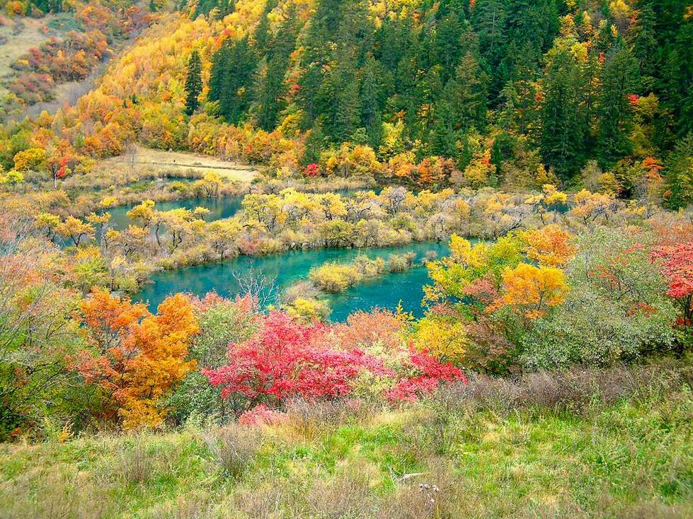 Autumn in Jiuzhaigou National Park